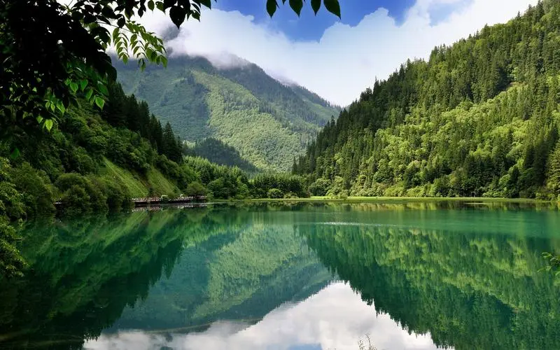 先进信息化高端
